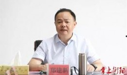 郑建新女友爆料视频,视频曝光惊人真相