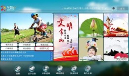 农家阿乐爆料视频大全集,揭秘农村生活百态