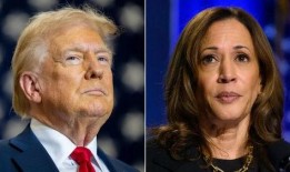 哈里斯最新消息爆料新闻,最新劲爆新闻揭秘