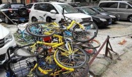 西安自行车爆料视频,街头奇观引发热议