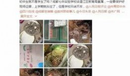 食品变质新闻爆料怎么写,新闻爆料揭示食品安全隐患