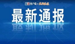 最新邢台头条爆料,揭秘重大事件背后的真相