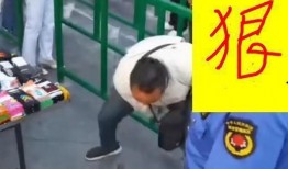 爆料踩踏动物视频大全最新,最新爆料踩踏动物视频大全引发社会关注