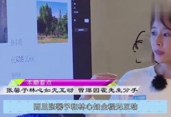 林心如爆料分手原因视频,揭秘与霍建华分手背后原因