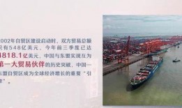 自贸区爆料视频,视频曝光惊人内幕，带你一探究竟