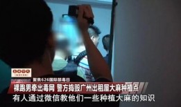 裸在线观看完整版全集,揭秘网络裸聊背后的惊悚故事