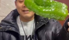 扬州网红事件吃瓜视频,揭秘网络狂欢背后的真相