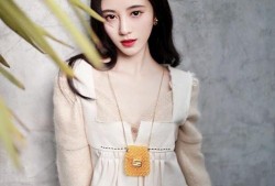 鞠婧祎娱乐圈爆料,独家爆料揭示明星幕后生活