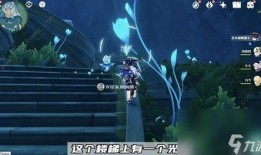 原神最新枫丹爆料黑客,原神最新版本神秘元素与未知势力揭秘