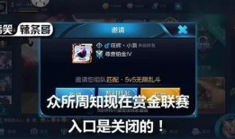 壮哥的王者爆料是谁啊视频