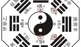 今日明星爆料八卦图视频,今日明星爆料八卦图视频大曝光！