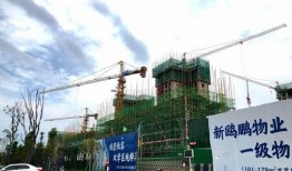 南充房子爆料网最新消息,爆料网揭示最新房价走势与热门项目