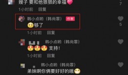 山猫无名被爆料视频大全,揭秘网络爆料的真相与争议