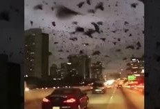 珠海金湾爆料事件最新情况,最新进展揭秘，真相逐步浮出水面