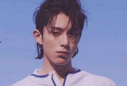 王鹤棣亲戚爆料视频,娱乐圈背后的真实故事