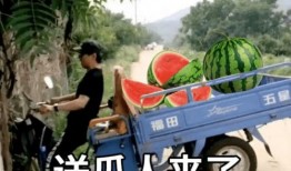 今日爆料吃瓜阳宝骑行圈,揭秘今日爆料背后的精彩故事