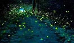 流萤爆料最新消息新闻,最新消息揭示重大新闻事件