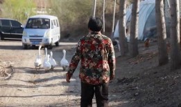 大连探店爆料事件视频播放,视频揭秘热门店铺幕后真相