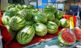 上海网红吃瓜事件真相,真相背后引人深思