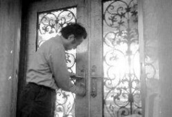 最新爆料杨先生完整版