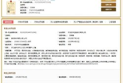 宁波新闻网爆料,揭秘重大事件背后真相