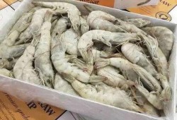 盐冻大虾爆料视频教程,轻松掌握美味海鲜烹饪技巧