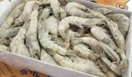 盐冻大虾爆料视频教程,轻松掌握美味海鲜烹饪技巧