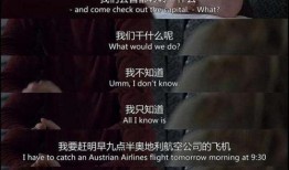 终结单身在线观看