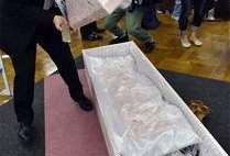 展销会新闻爆料热线电话,展销会新闻爆料热线电话助力信息速递