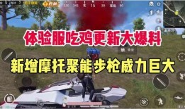 吃鸡在哪看爆料视频,独家视频带你一探究竟