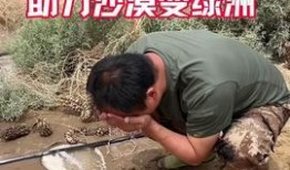 爆料踩踏动物视频大全最新,最新爆料踩踏动物视频大全引发社会关注