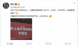 雷军爆料新产品视频播放,神秘新品视频播放，科技魅力一触即发！”
