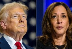 哈里斯最新消息爆料新闻,最新劲爆新闻揭秘