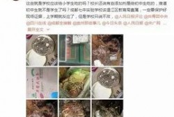 食品变质新闻爆料怎么写,新闻爆料揭示食品安全隐患