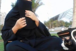 娱乐吃瓜君真相,真相背后的吃瓜大揭秘