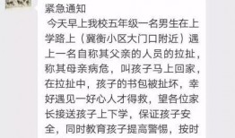 衡水学霸爆料事件真相视频,揭秘教育神话背后的真相