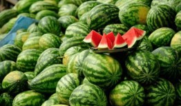 网红吃瓜名字怎么取,揭秘娱乐圈幕后风云