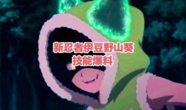 火影忍者野山葵爆料视频,火影忍者幕后故事大曝光