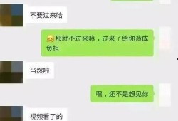 吃瓜聊天记录群免费下载,免费下载背后的故事