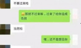 吃瓜聊天记录群免费下载,免费下载背后的故事
