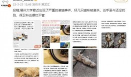 福州自媒体爆料事件视频,视频揭露惊人真相