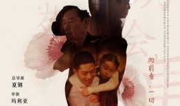 电影毒戒在线观看,网剧版在线观看，揭秘毒品陷阱与人性挣扎