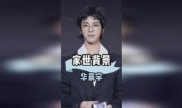 华晨宇家世爆料视频,出身名门，星途璀璨背后的故事
