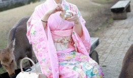 吃瓜聊天记录群免费下载,免费下载背后的故事