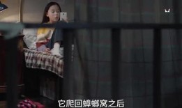 姐姐爆料怀孕视频播放,网友热议孕期生活点滴