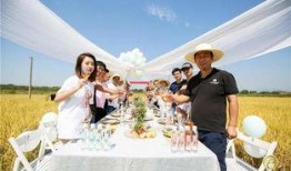 卓尔最新爆料桃花驿,桃花驿神秘面纱背后的传奇故事