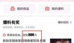 如何找今日头条人爆料视频,如何轻松找到热门视频爆料者