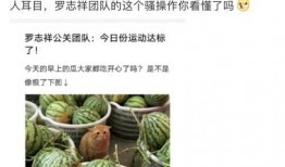 看网红吃瓜的网站有哪些,一网打尽娱乐圈最新动态