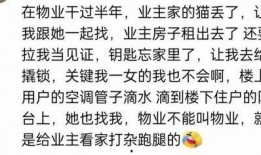 资源吃瓜群免费,免费畅享的娱乐盛宴