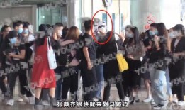 爆料绯闻女友视频大全下载,下载与热议背后的真相